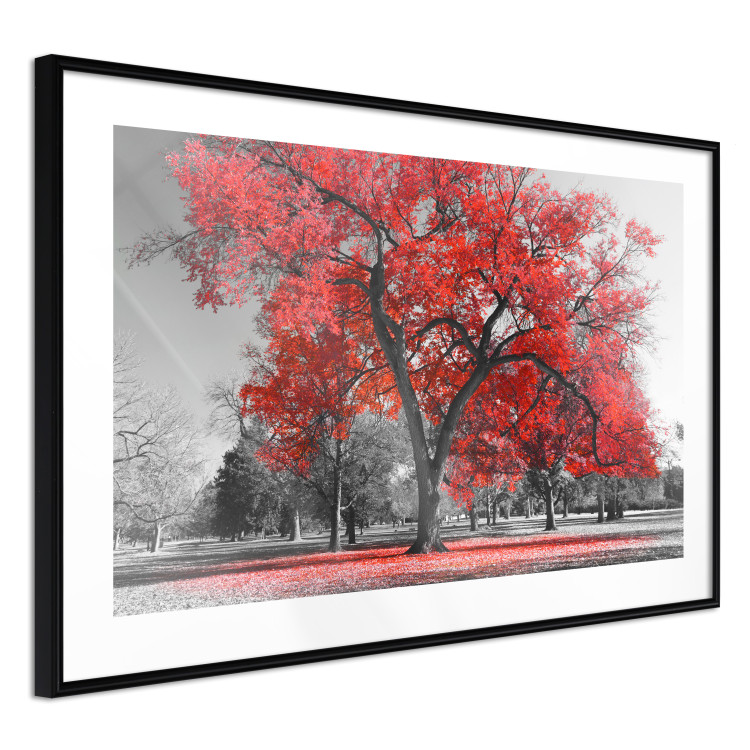 Wall Poster Autumn in the Park (Red) - gray tree landscape with red leaves 122760 additionalImage 11