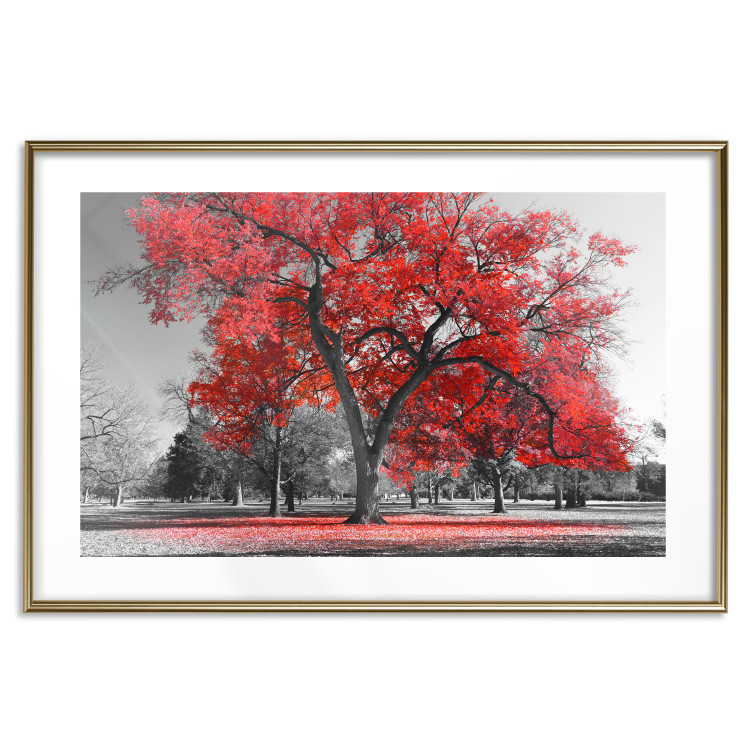 Wall Poster Autumn in the Park (Red) - gray tree landscape with red leaves 122760 additionalImage 14