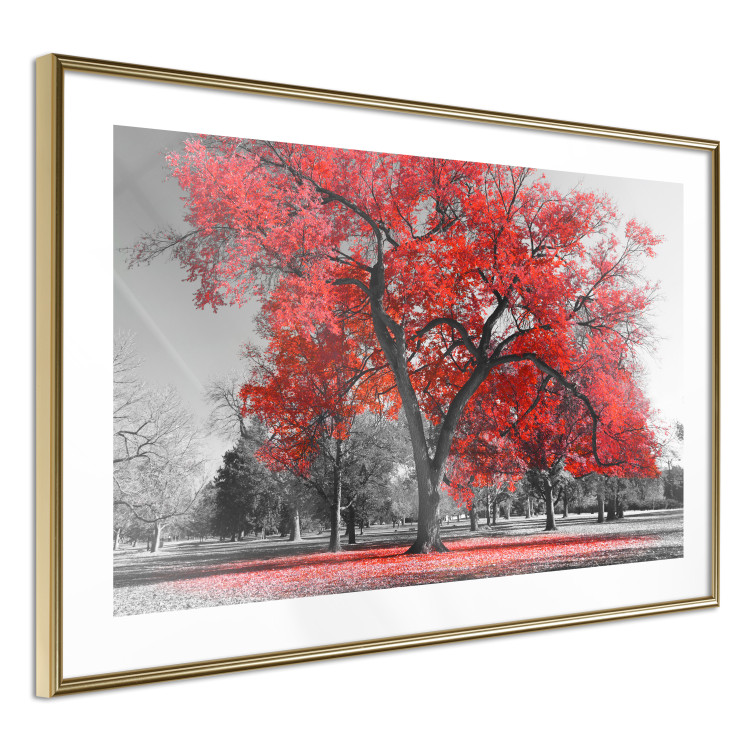 Wall Poster Autumn in the Park (Red) - gray tree landscape with red leaves 122760 additionalImage 6