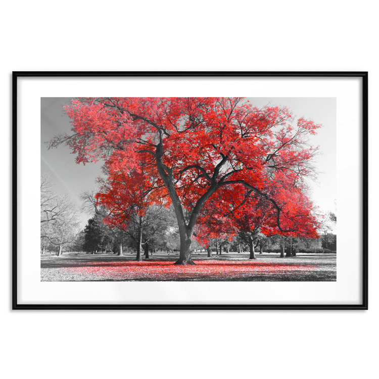 Wall Poster Autumn in the Park (Red) - gray tree landscape with red leaves 122760 additionalImage 15