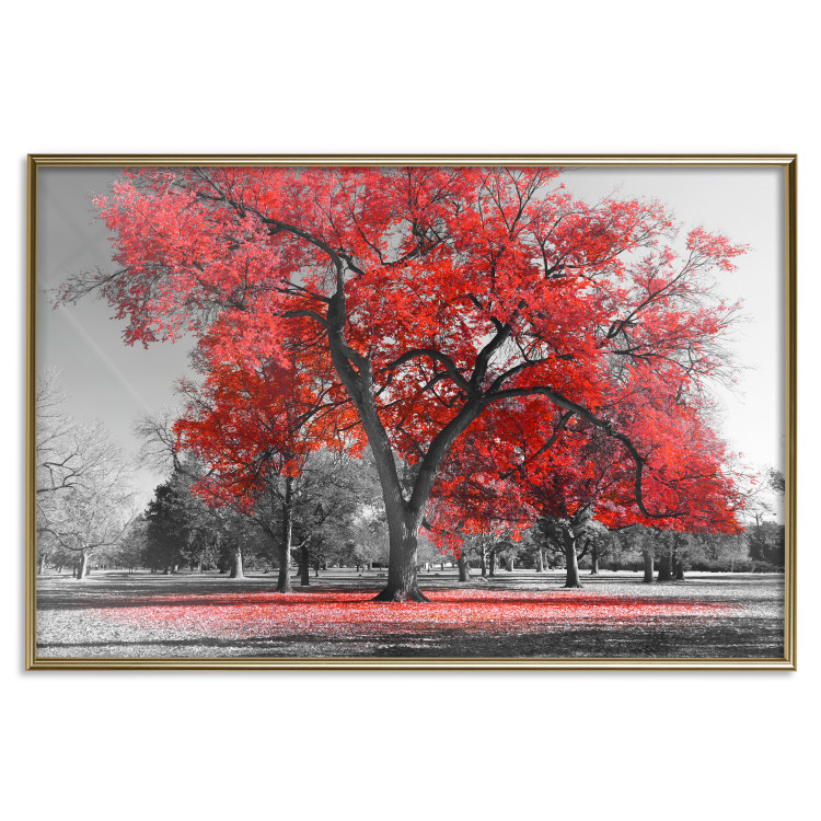 Wall Poster Autumn in the Park (Red) - gray tree landscape with red leaves 122760 additionalImage 16
