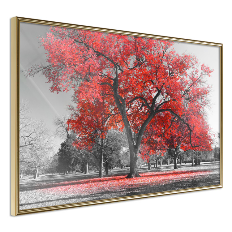 Wall Poster Autumn in the Park (Red) - gray tree landscape with red leaves 122760 additionalImage 12