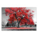 Wall Poster Autumn in the Park (Red) - gray tree landscape with red leaves 122760