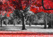 Wall Poster Autumn in the Park (Red) - gray tree landscape with red leaves 122760 additionalThumb 8