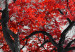 Wall Poster Autumn in the Park (Red) - gray tree landscape with red leaves 122760 additionalThumb 9