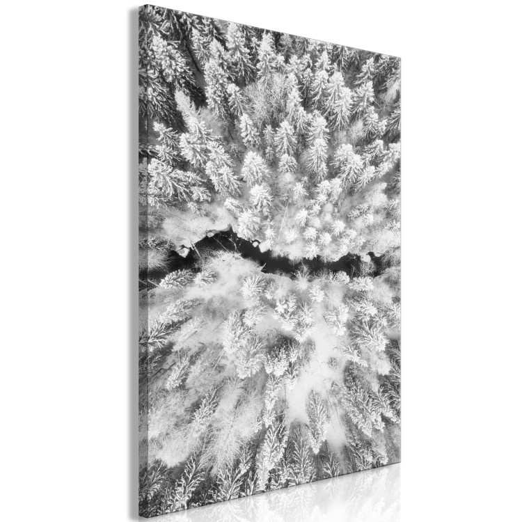Canvas Art Print Bird's eye winter forest view - black and white winter landscape photo 123360 additionalImage 2