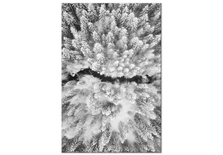 Canvas Art Print Bird's eye winter forest view - black and white winter landscape photo 123360