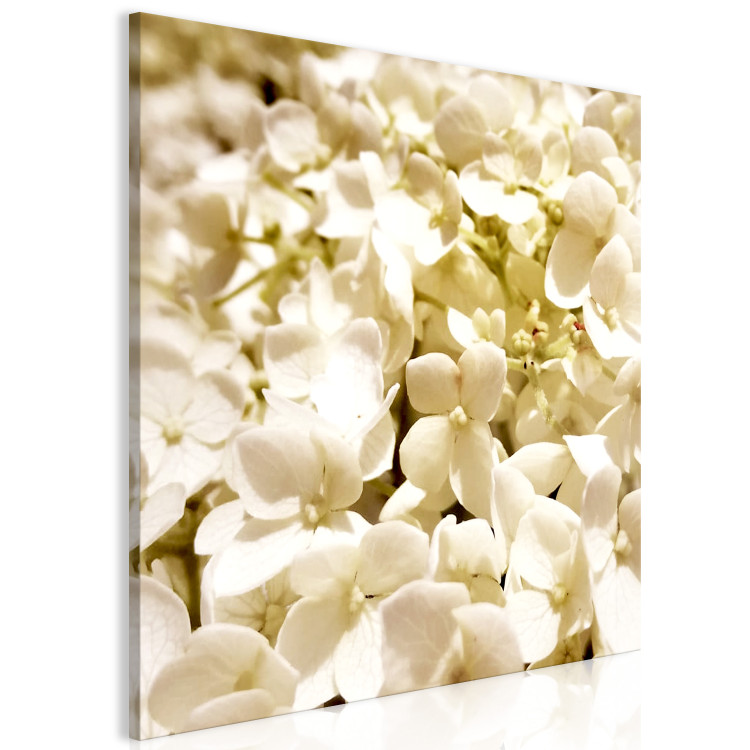Canvas Spring flowers - a photograph of tiny flowers in white colour 123460 additionalImage 2