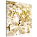 Canvas Spring flowers - a photograph of tiny flowers in white colour 123460 additionalThumb 2