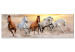 Canvas Art Print Flock of Horses (1 Part) Narrow 125160