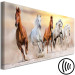 Canvas Art Print Flock of Horses (1 Part) Narrow 125160 additionalThumb 6