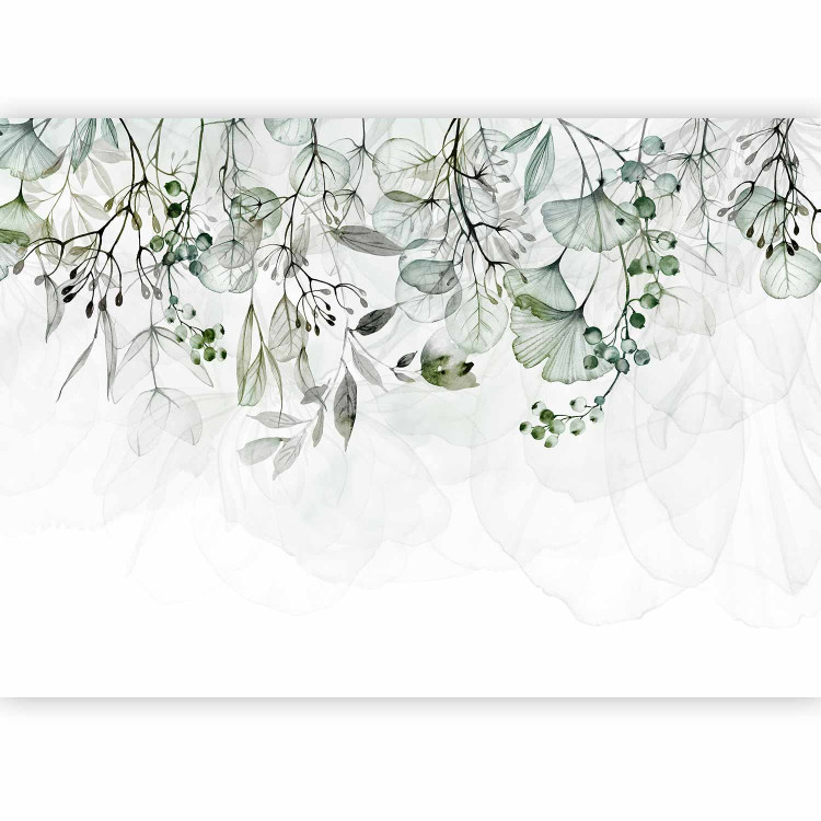 Wall Mural Foggy Nature - Green 129560 additionalImage 1