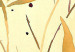 Poster Graphic 03 [Poster] 131660 additionalThumb 12