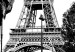 Canvas Print Carousel at Eiffel Tower - black-white graphic of Paris architecture 132260 additionalThumb 5