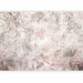 Photo Wallpaper Subtle motif - plants on a concrete texture background in shades of pink 143860 additionalThumb 1