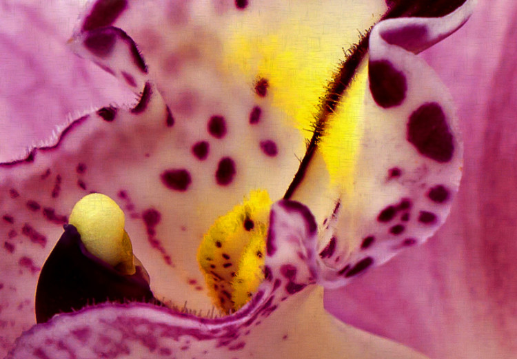 Canvas Unusual orchid - triptych 50460 additionalImage 5