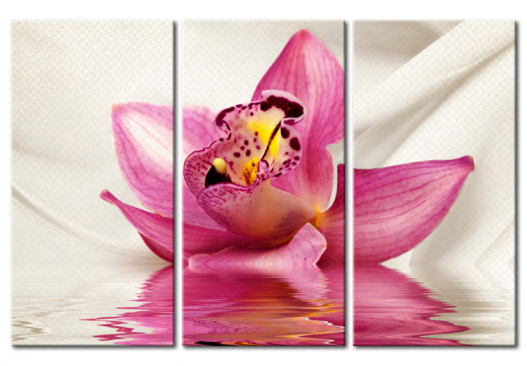 Canvas Unusual orchid - triptych 50460