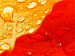 Canvas Print Colourful dew 58560 additionalThumb 2