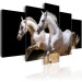 Canvas Gallop- freedom and power 58660 additionalThumb 2