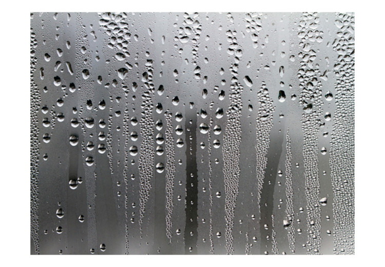 Wall Mural Rain - Gray motif of raindrops streaming on a fogged window 61060 additionalImage 1