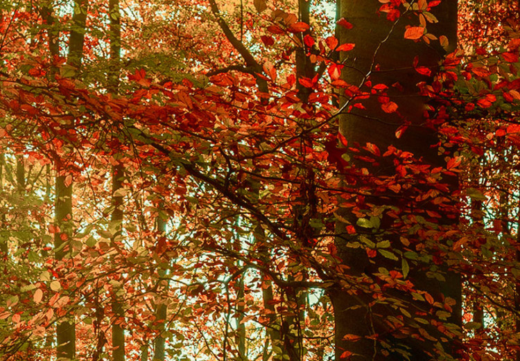 Canvas Autumn Wilderness 88660 additionalImage 4