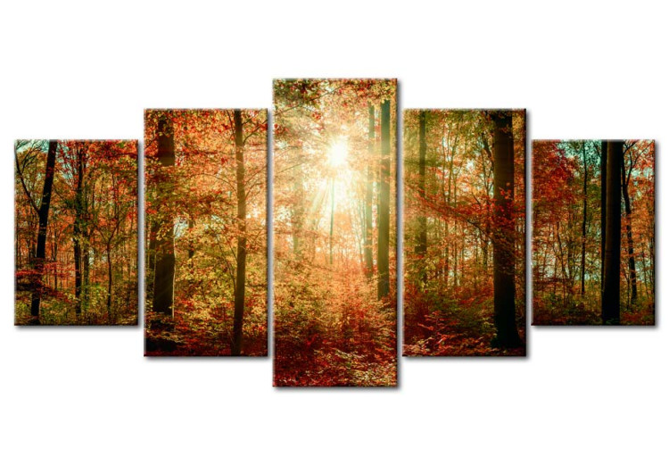 Canvas Autumn Wilderness 88660