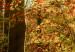 Canvas Autumn Wilderness 88660 additionalThumb 5