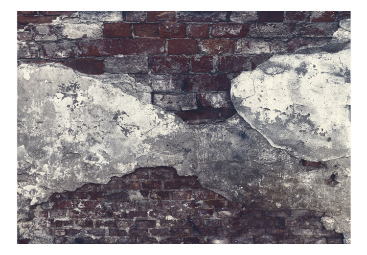 Wall Mural Composition - fragments of concrete on a background of brick in dark shades 91160 additionalImage 1
