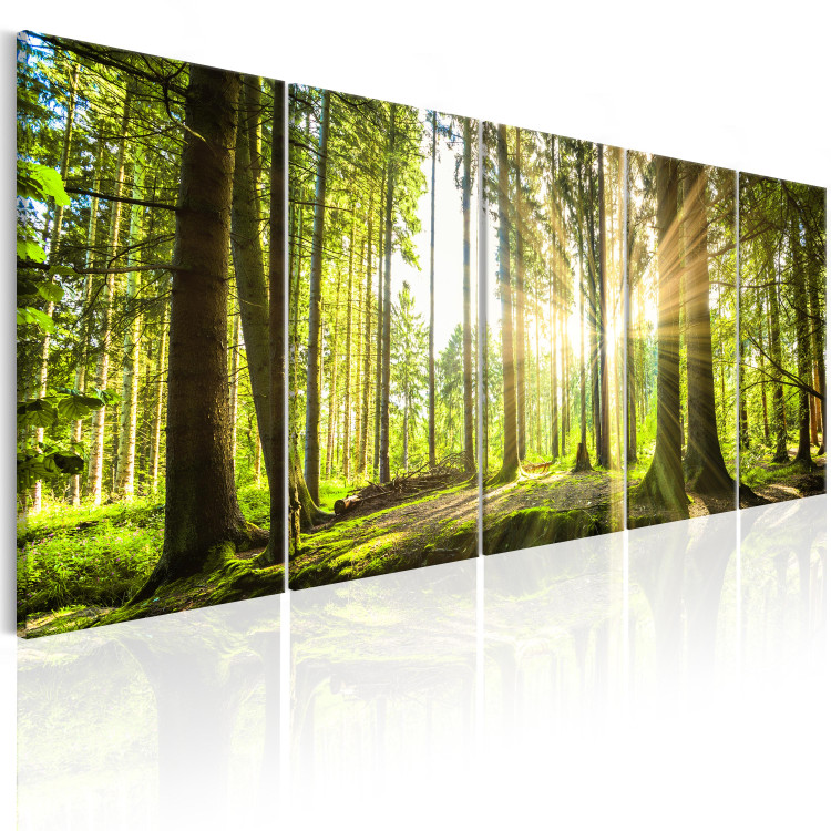 Canvas Art Print Green Glow (5-piece) - Sunrise Amidst Forest Nature 98560 additionalImage 2