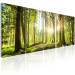 Canvas Art Print Green Glow (5-piece) - Sunrise Amidst Forest Nature 98560 additionalThumb 2