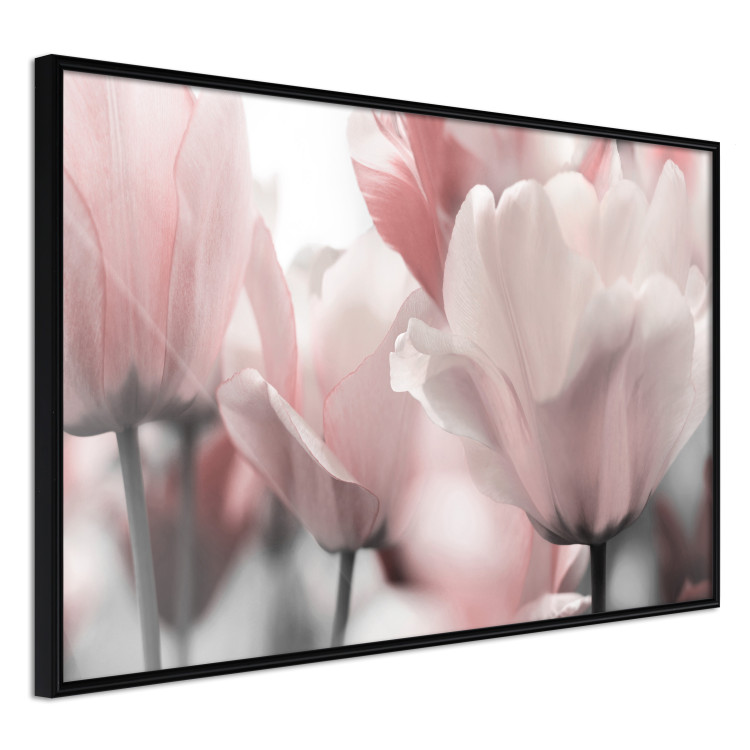 Wall gallery Tulip Dream II 124867 additionalImage 7
