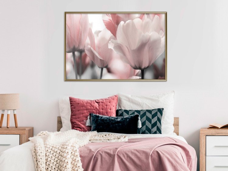 Poster Fairy Tulips - composition with spring flowers in light pink color 117170 additionalImage 5