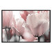 Poster Fairy Tulips - composition with spring flowers in light pink color 117170 additionalThumb 20