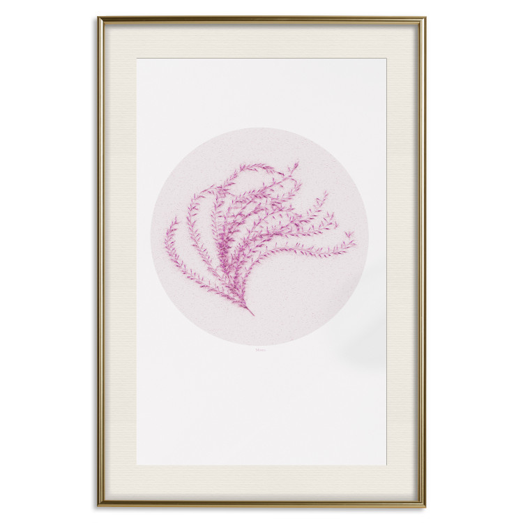 Poster Finesse of Nature - composition with pink plant and a circle on a light background 117770 additionalImage 20