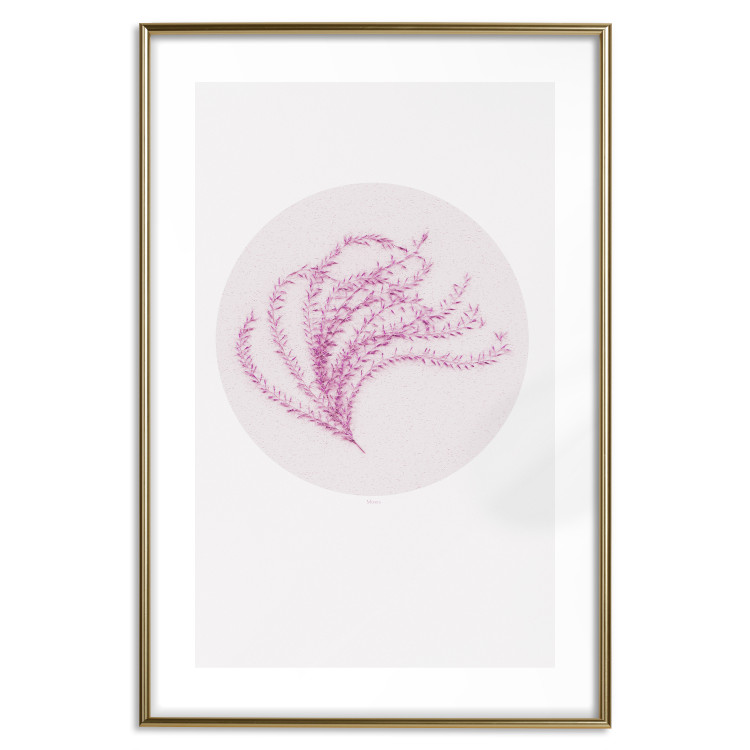 Poster Finesse of Nature - composition with pink plant and a circle on a light background 117770 additionalImage 18