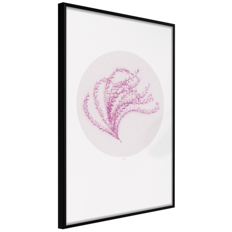 Poster Finesse of Nature - composition with pink plant and a circle on a light background 117770 additionalImage 10