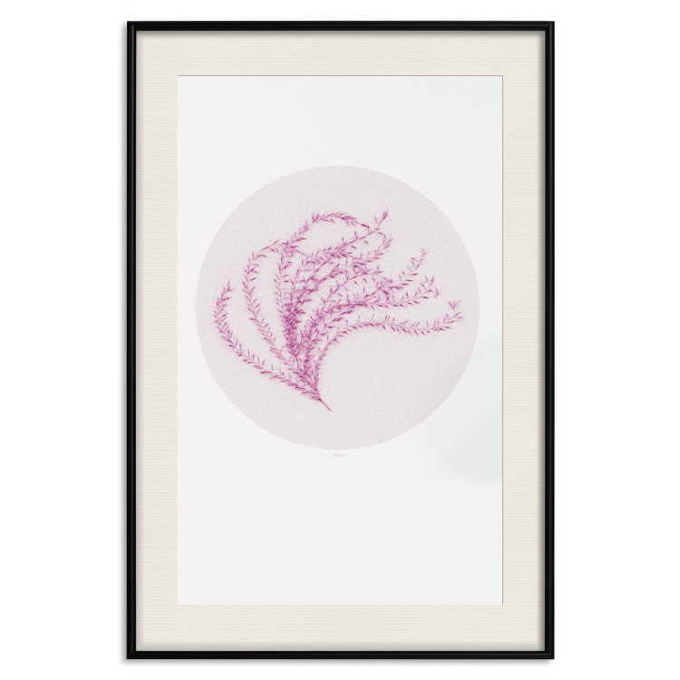 Poster Finesse of Nature - composition with pink plant and a circle on a light background 117770 additionalImage 17