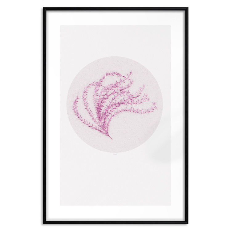 Poster Finesse of Nature - composition with pink plant and a circle on a light background 117770 additionalImage 15
