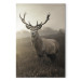 Canvas Art Print Deer in Sepia (1 Part) Vertical 119170 additionalThumb 7