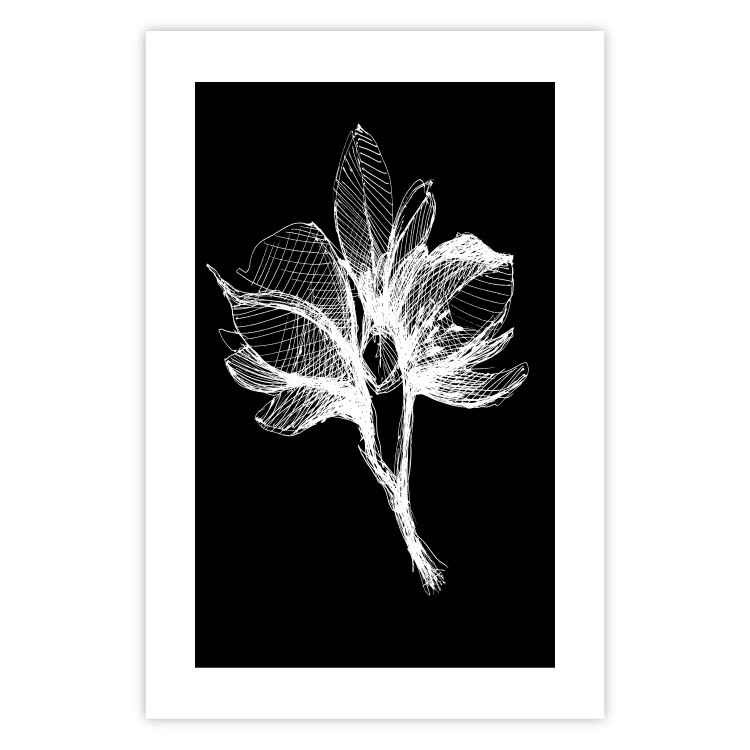 Wall Poster Night Flower - black and white composition with a delicate plant motif 119270 additionalImage 18