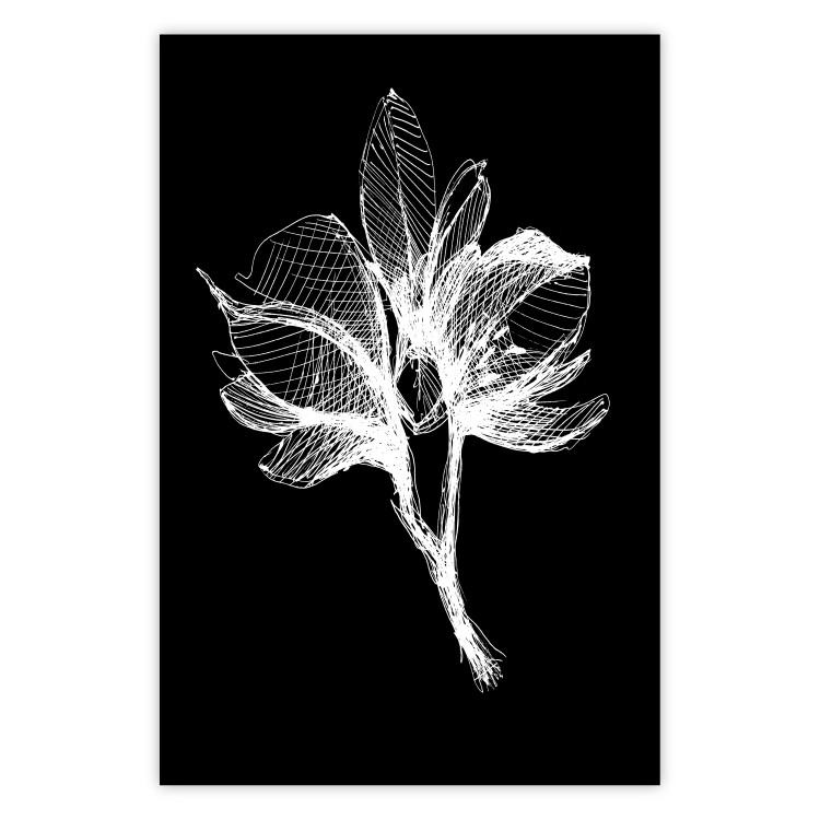 Wall Poster Night Flower - black and white composition with a delicate plant motif 119270