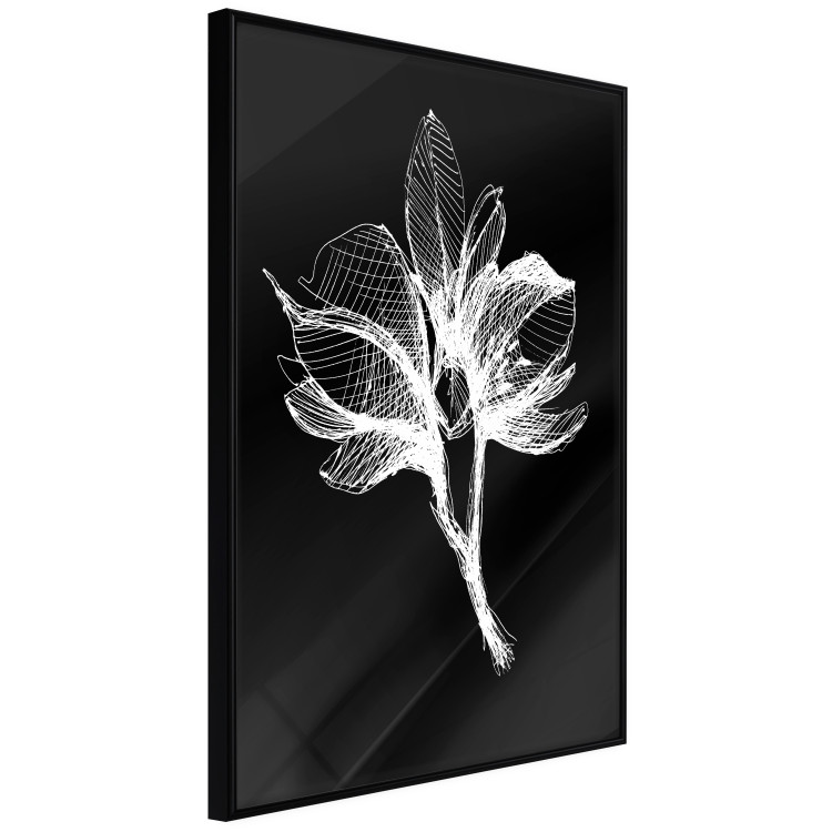 Wall Poster Night Flower - black and white composition with a delicate plant motif 119270 additionalImage 8