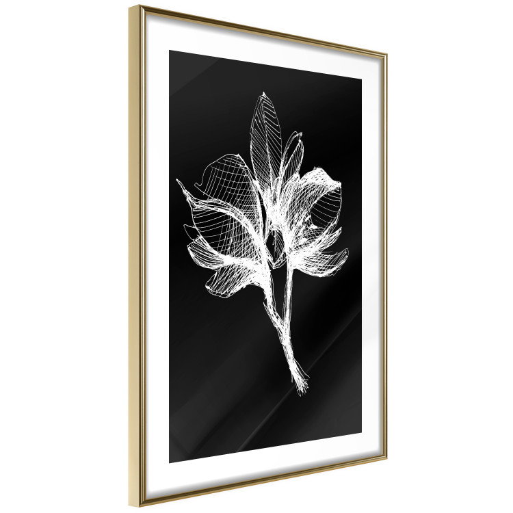 Wall Poster Night Flower - black and white composition with a delicate plant motif 119270 additionalImage 2