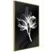 Wall Poster Night Flower - black and white composition with a delicate plant motif 119270 additionalThumb 9