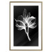 Wall Poster Night Flower - black and white composition with a delicate plant motif 119270 additionalThumb 13