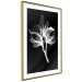 Wall Poster Night Flower - black and white composition with a delicate plant motif 119270 additionalThumb 2
