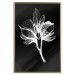 Wall Poster Night Flower - black and white composition with a delicate plant motif 119270 additionalThumb 15