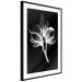 Wall Poster Night Flower - black and white composition with a delicate plant motif 119270 additionalThumb 4