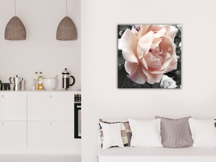 Canvas Print Unique Rose (1-part) - Flower of Nature in Gray Background 122670 additionalImage 3