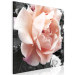 Canvas Print Unique Rose (1-part) - Flower of Nature in Gray Background 122670 additionalThumb 2